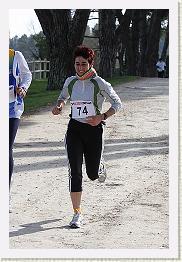 Fargues 15.02.09 3 186 * 320 x 480 * (79KB)